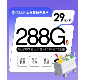 山东移动专属卡【29元288G】