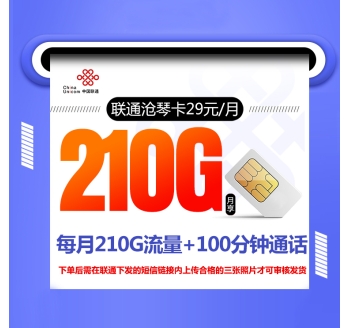 联通沧琴卡【一年29元210G+100分钟